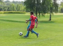 赛季上海申,花赛程概览,开云体育,开云登录入口,开云平台,开云注册网址,开云app,开云官网,开云网站,开云网页版